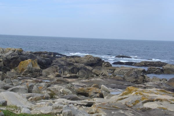 Foto 144 da atividade Galeria de Fotos