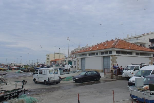 Foto 131 da atividade Galeria de Fotos