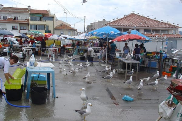 Foto 86 da atividade Galeria de Fotos