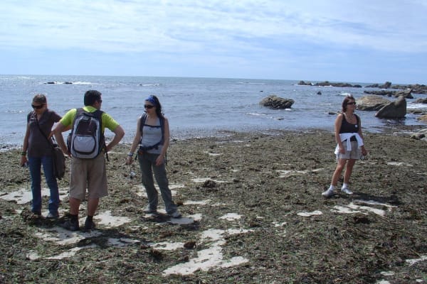 Foto 65 da atividade Galeria de Fotos