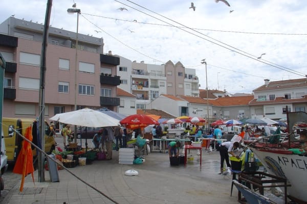 Foto 58 da atividade Galeria de Fotos