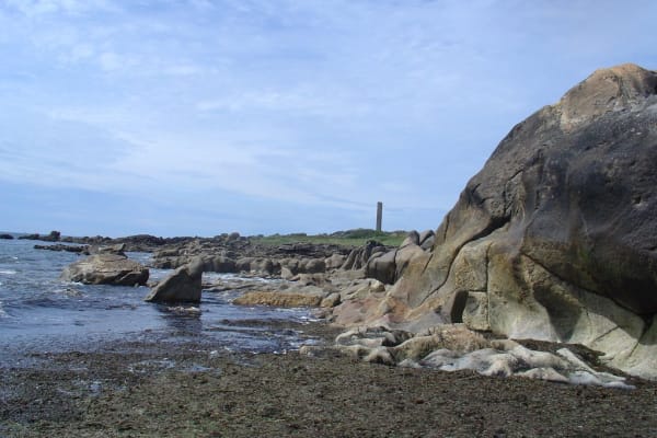 Foto 50 da atividade Galeria de Fotos