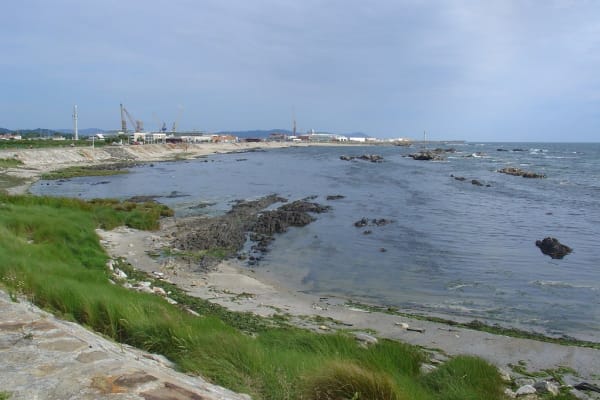 Foto 35 da atividade Galeria de Fotos