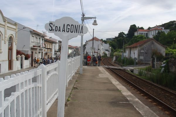 Foto 21 da atividade Galeria de Fotos