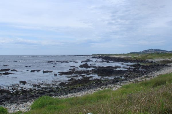 Foto 1 da atividade Galeria de Fotos