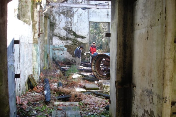 Foto 81 da atividade Galeria de Fotos