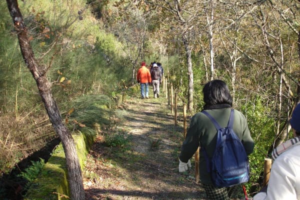 Foto 76 da atividade Galeria de Fotos