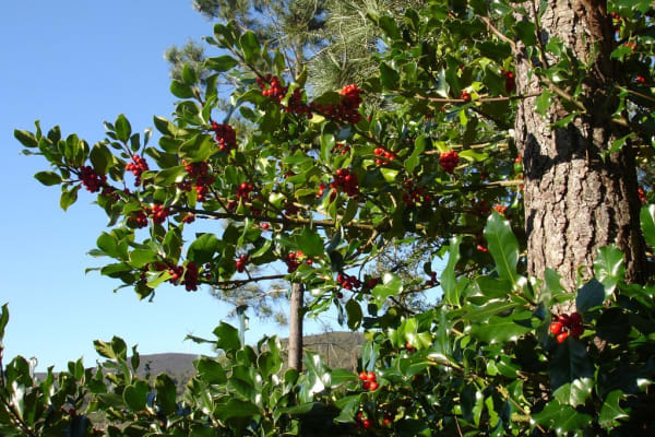 Foto 59 da atividade Galeria de Fotos