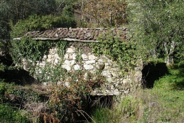 Foto 47 da atividade Galeria de Fotos