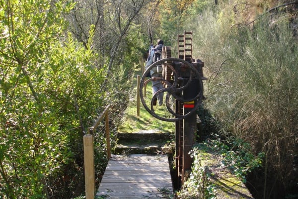 Foto 28 da atividade Galeria de Fotos