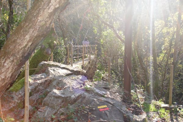 Foto 14 da atividade Galeria de Fotos