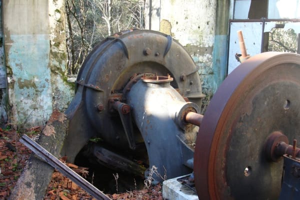 Foto 8 da atividade Galeria de Fotos