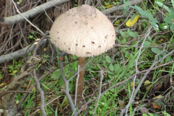 Foto 49 da atividade Galeria de Fotos