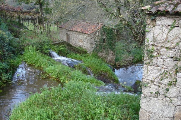 Foto 41 da atividade Galeria de Fotos