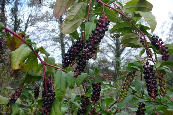 Foto 44 da atividade Galeria de Fotos