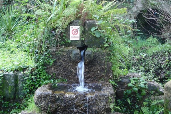 Foto 36 da atividade Galeria de Fotos