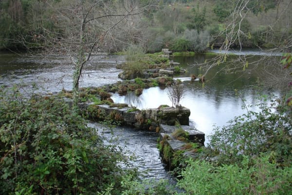 Foto 13 da atividade Galeria de Fotos