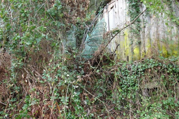 Foto 6 da atividade Galeria de Fotos