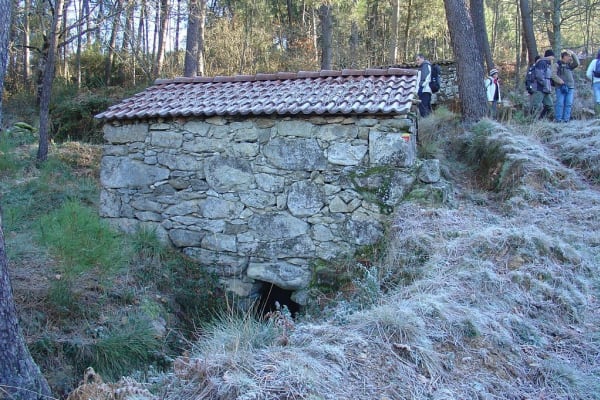 Foto 82 da atividade Galeria de Fotos