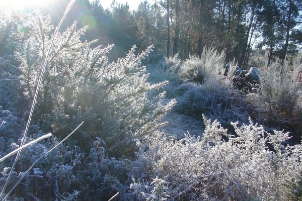 Foto 76 da atividade Galeria de Fotos