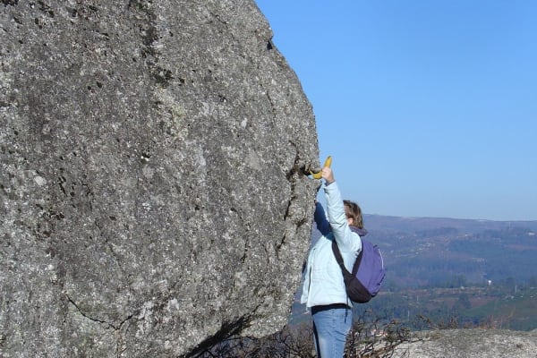 Foto 60 da atividade Galeria de Fotos