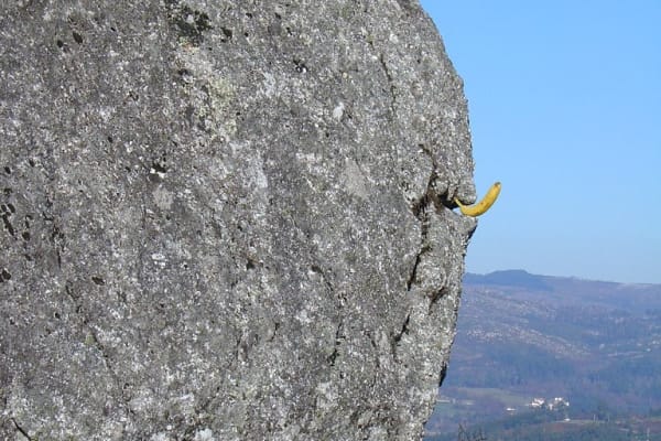 Foto 49 da atividade Galeria de Fotos