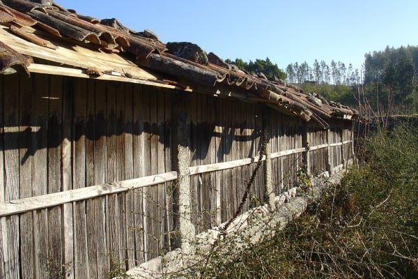 Foto 20 da atividade Galeria de Fotos