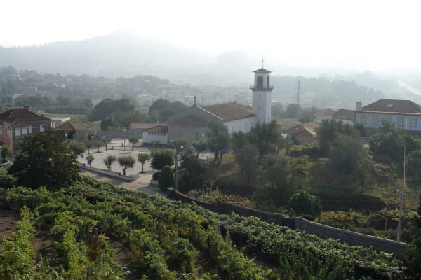 Foto 115 da atividade Galeria de Fotos