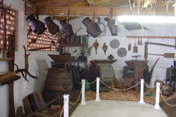 Foto 77 da atividade Galeria de Fotos