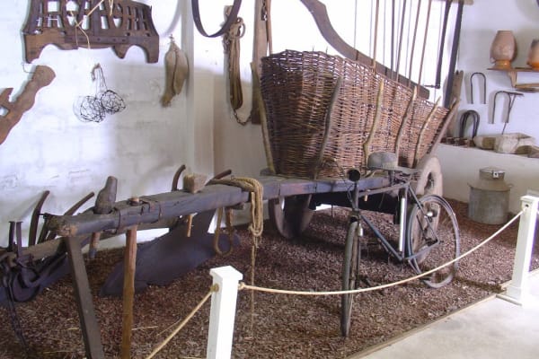 Foto 70 da atividade Galeria de Fotos