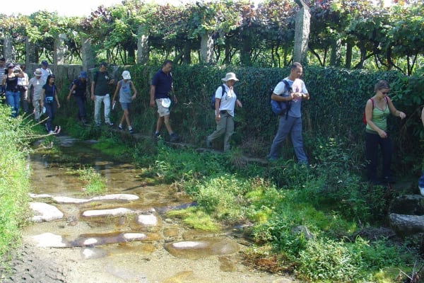 Foto 46 da atividade Galeria de Fotos