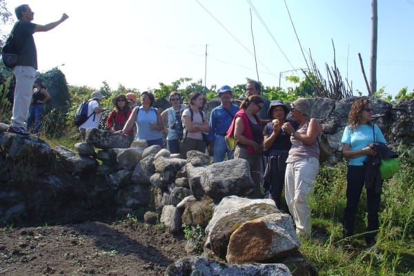 Foto 39 da atividade Galeria de Fotos