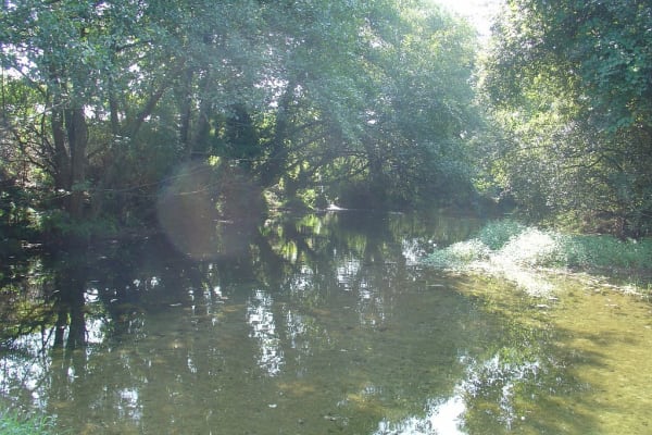 Foto 23 da atividade Galeria de Fotos