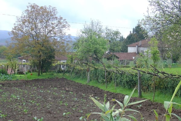 Foto 93 da atividade Galeria de Fotos