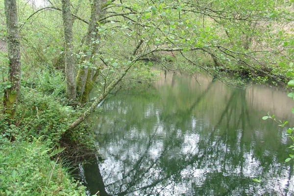 Foto 78 da atividade Galeria de Fotos