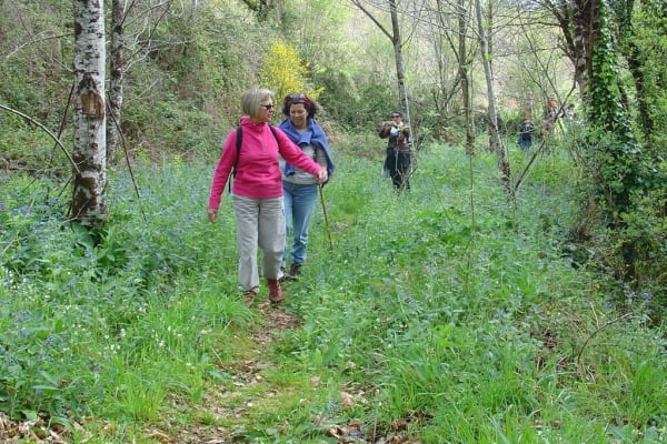 Foto 53 da atividade Galeria de Fotos