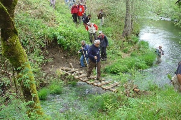 Foto 57 da atividade Galeria de Fotos