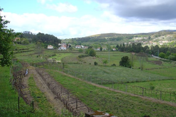 Foto 56 da atividade Galeria de Fotos