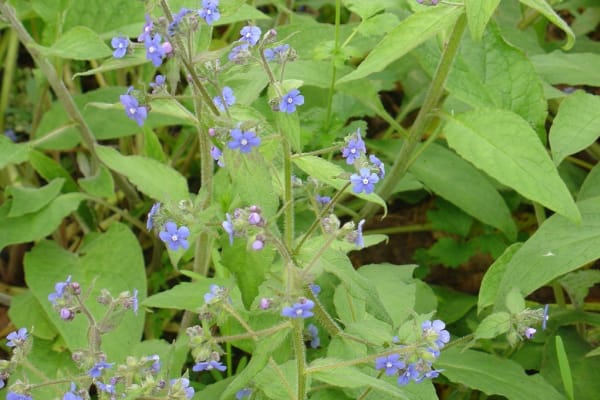 Foto 50 da atividade Galeria de Fotos