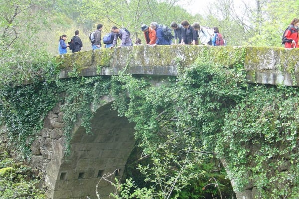 Foto 43 da atividade Galeria de Fotos