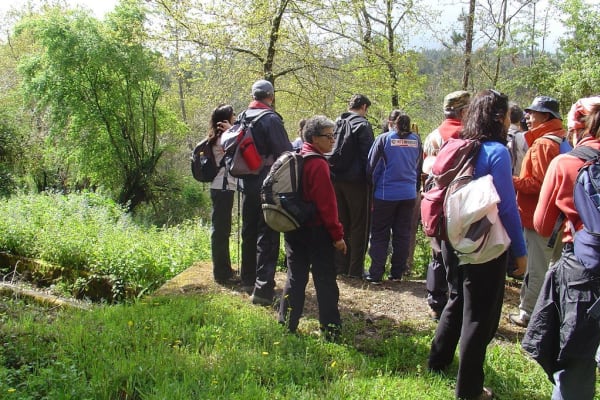 Foto 36 da atividade Galeria de Fotos