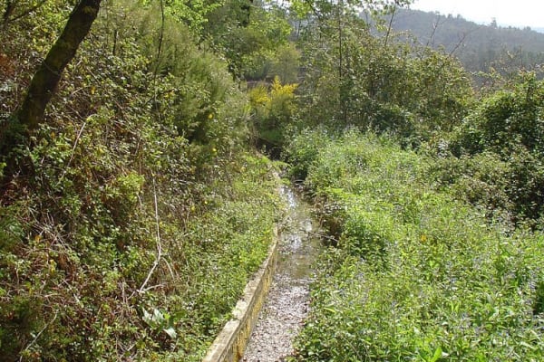 Foto 33 da atividade Galeria de Fotos