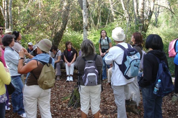 Foto 83 da atividade Galeria de Fotos