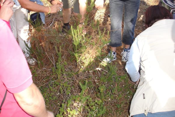 Foto 80 da atividade Galeria de Fotos