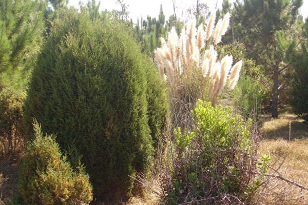 Foto 71 da atividade Galeria de Fotos