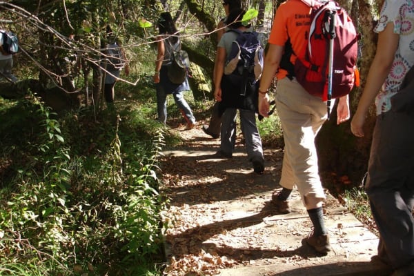 Foto 41 da atividade Galeria de Fotos