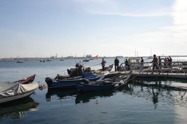 Foto 25 da atividade Galeria de Fotos