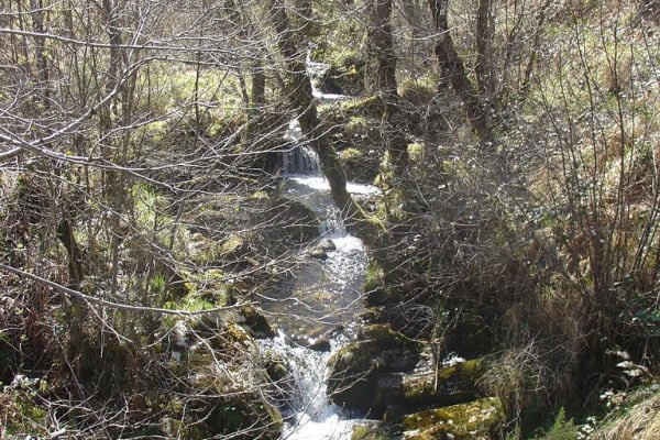 Foto 78 da atividade Galeria de Fotos