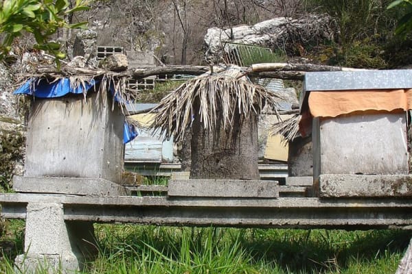 Foto 37 da atividade Galeria de Fotos