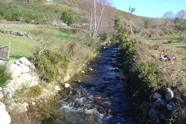 Foto 25 da atividade Galeria de Fotos